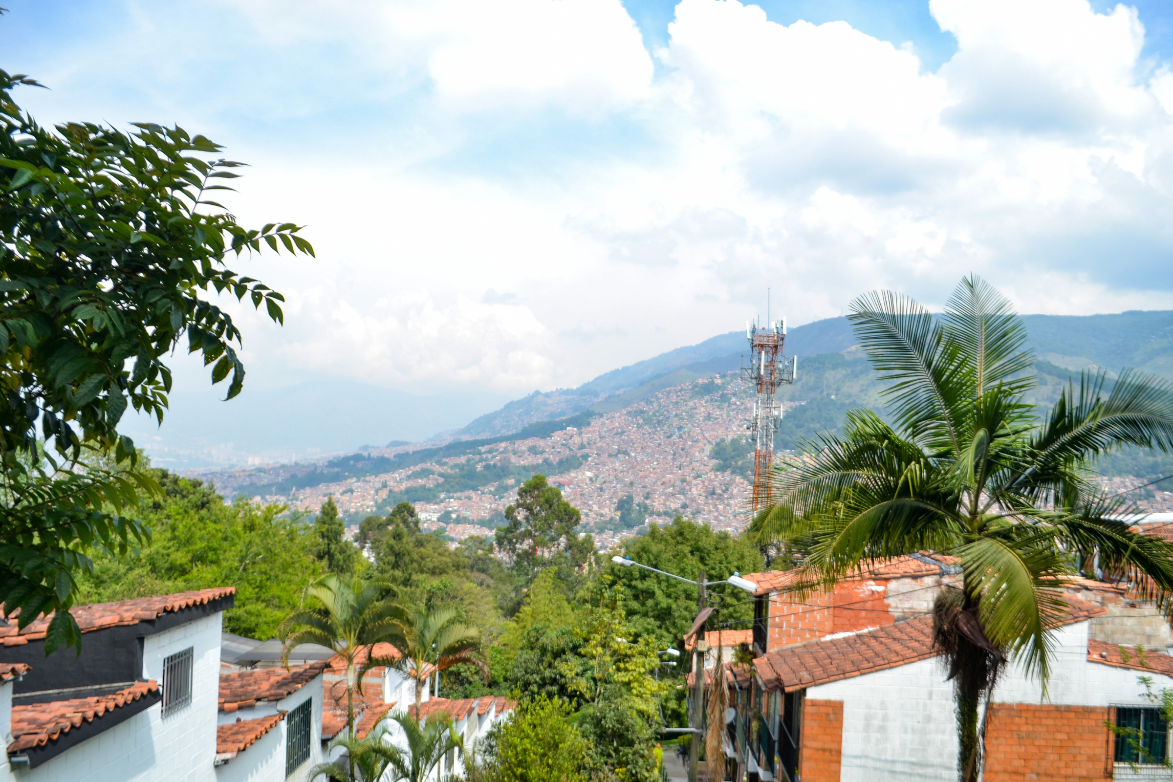 medellín (2).webp